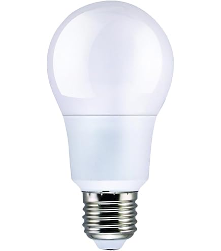 Led Bulb 10 Watt DayLight